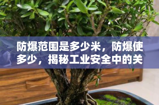 防爆范围是多少米，防爆使多少，揭秘工业安全中的关键参数