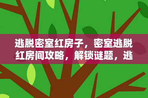 逃脱密室红房子，密室逃脱红房间攻略，解锁谜题，逃出神秘房间