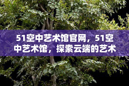 51空中艺术馆官网，51空中艺术馆，探索云端的艺术殿堂