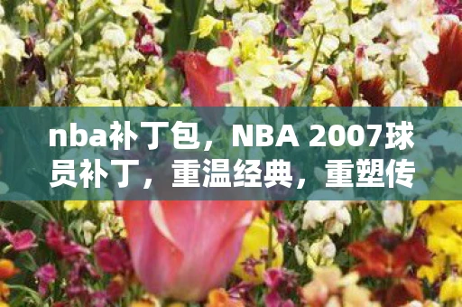 nba补丁包，NBA 2007球员补丁，重温经典，重塑传奇
