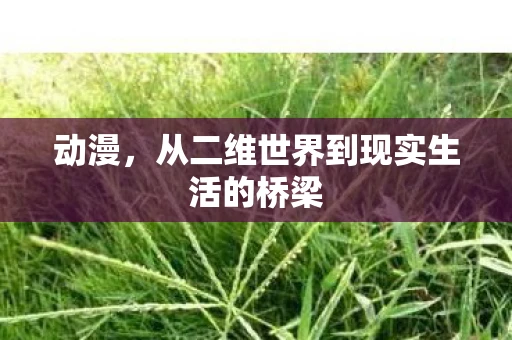 动漫，从二维世界到现实生活的桥梁