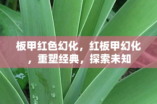 板甲红色幻化，红板甲幻化，重塑经典，探索未知