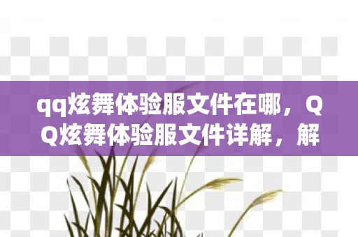 qq炫舞体验服文件在哪，QQ炫舞体验服文件详解，解锁游戏新体验的秘密钥匙
