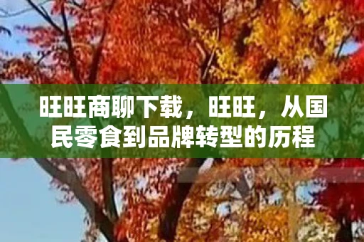 旺旺商聊下载，旺旺，从国民零食到品牌转型的历程