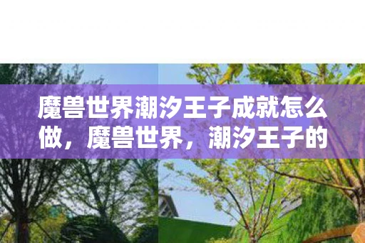 魔兽世界潮汐王子成就怎么做，魔兽世界，潮汐王子的传奇故事