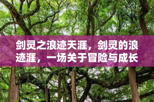 剑灵之浪迹天涯，剑灵的浪迹涯，一场关于冒险与成长的旅程