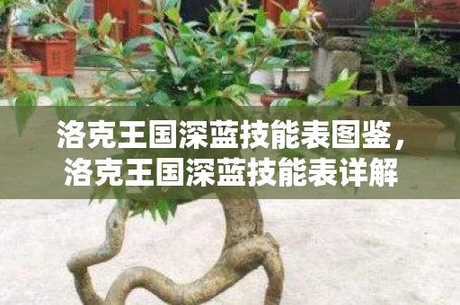 洛克王国深蓝技能表图鉴，洛克王国深蓝技能表详解