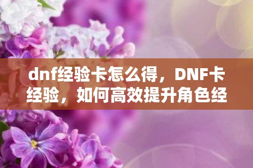 dnf经验卡怎么得，DNF卡经验，如何高效提升角色经验值