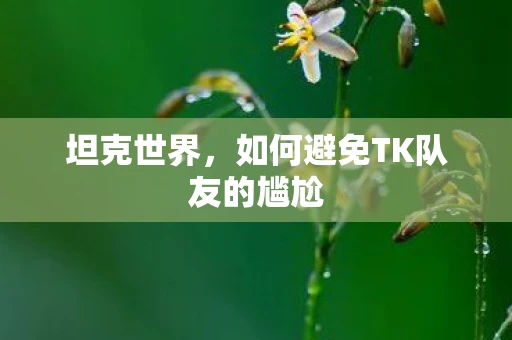 坦克世界，如何避免TK队友的尴尬