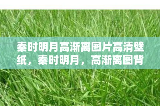 秦时明月高渐离图片高清壁纸，秦时明月，高渐离图背后的故事