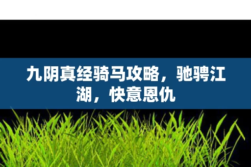 九阴真经骑马攻略图片