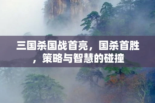 三国杀国战首亮，国杀首胜，策略与智慧的碰撞