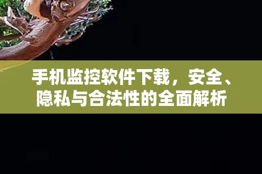 手机监控软件下载，安全、隐私与合法性的全面解析