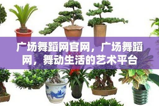 广场舞蹈网官网，广场舞蹈网，舞动生活的艺术平台