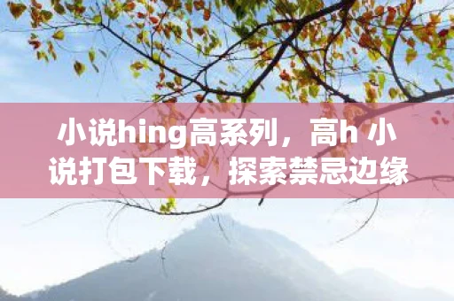 小说hing高系列，高h 小说打包下载，探索禁忌边缘的文学世界
