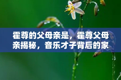 霍尊的父母亲是，霍尊父母亲揭秘，音乐才子背后的家庭力量