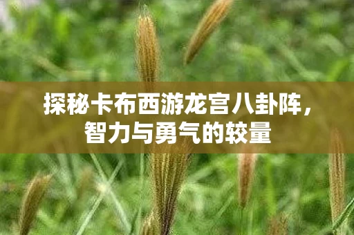 探秘卡布西游龙宫八卦阵图片