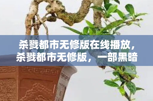 杀戮都市无修版在线播放，杀戮都市无修版，一部黑暗而震撼的科幻动作巨作