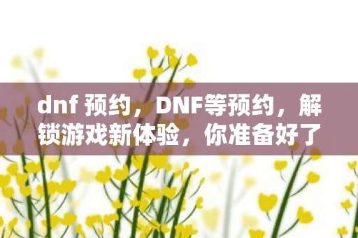 dnf 预约，DNF等预约，解锁游戏新体验，你准备好了吗？