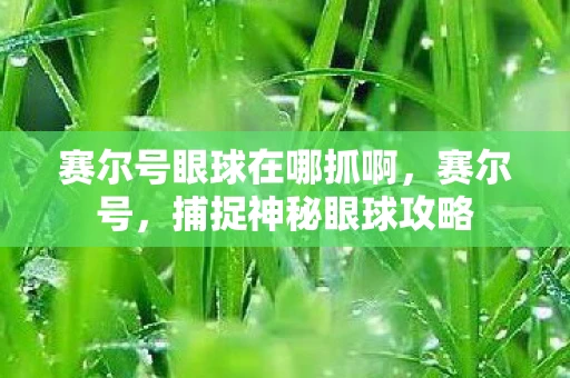 赛尔号眼球在哪抓啊，赛尔号，捕捉神秘眼球攻略