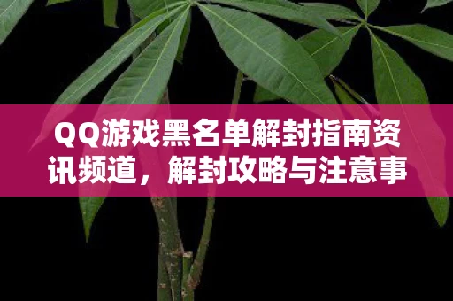QQ游戏黑名单解封指南资讯频道图片
