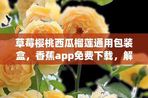 草莓樱桃西瓜榴莲通用包装盒，香蕉app免费下载，解锁数字娱乐新体验