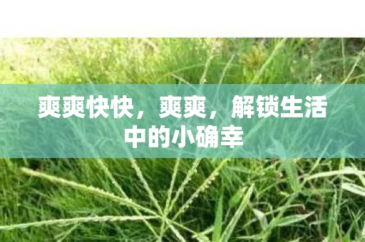 爽爽快快，爽爽，解锁生活中的小确幸