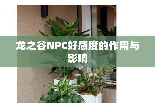 龙之谷NPC好感度的作用与影响图片