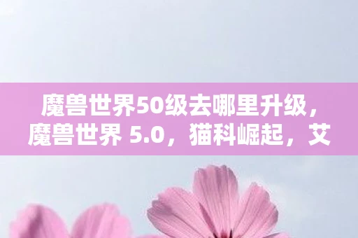 魔兽世界50级去哪里升级，魔兽世界 5.0，猫科崛起，艾泽拉斯的新篇章