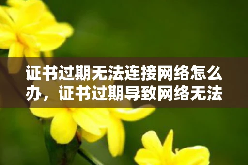 证书过期无法连接网络怎么办，证书过期导致网络无法连接？这些步骤帮你快速解决！