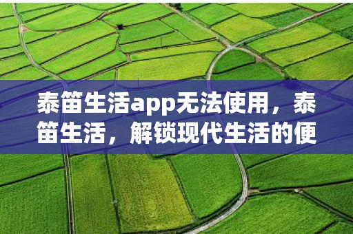 泰笛生活app无法使用，泰笛生活，解锁现代生活的便捷与品质