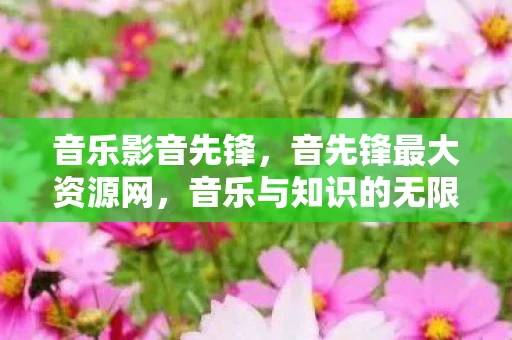 音乐影音先锋，音先锋最大资源网，音乐与知识的无限宝库