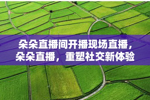 朵朵直播间开播现场直播，朵朵直播，重塑社交新体验
