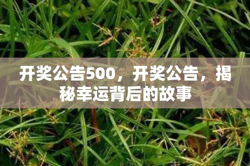 开奖公告500，开奖公告，揭秘幸运背后的故事