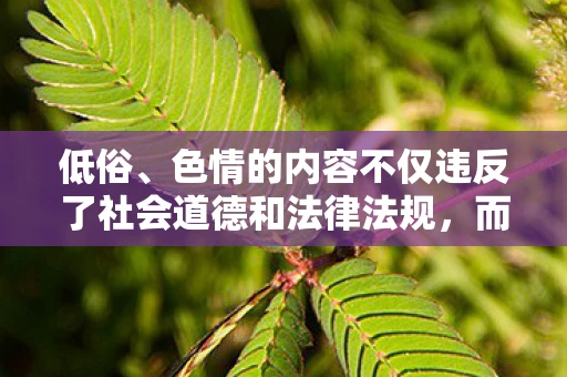低俗、色情的内容不仅违反了社会道德和法律法规，而且可能会对个人的身心健康造成负面影响。因此，我无法提供任何有关低俗、色情内容的信息