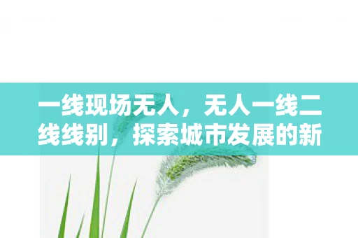 一线现场无人，无人一线二线线别，探索城市发展的新维度