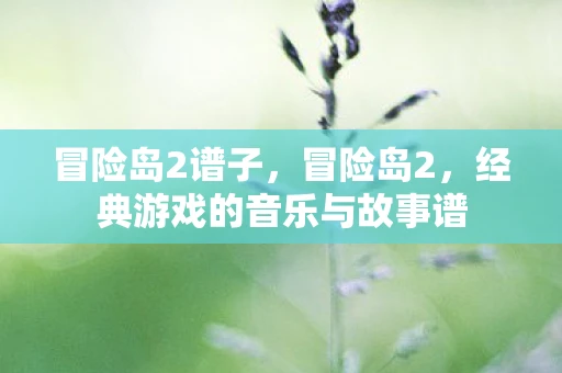 冒险岛2谱子，冒险岛2，经典游戏的音乐与故事谱