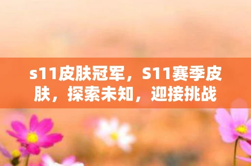 s11皮肤冠军，S11赛季皮肤，探索未知，迎接挑战