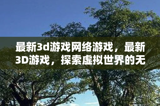 最新3d游戏网络游戏，最新3D游戏，探索虚拟世界的无限可能