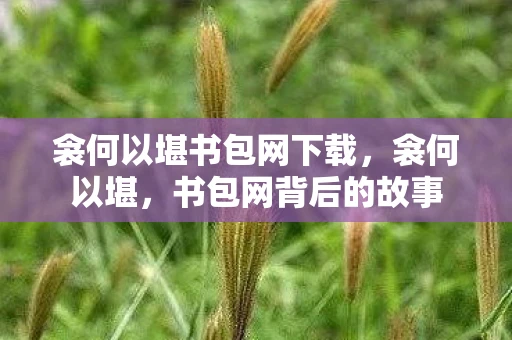 衾何以堪书包网下载，衾何以堪，书包网背后的故事