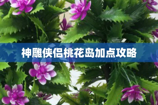 神雕侠侣桃花岛加点攻略图片