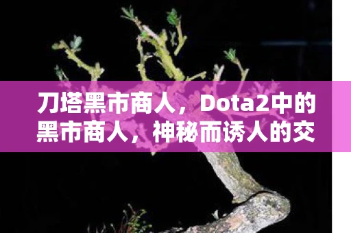 刀塔黑市商人，Dota2中的黑市商人，神秘而诱人的交易之地