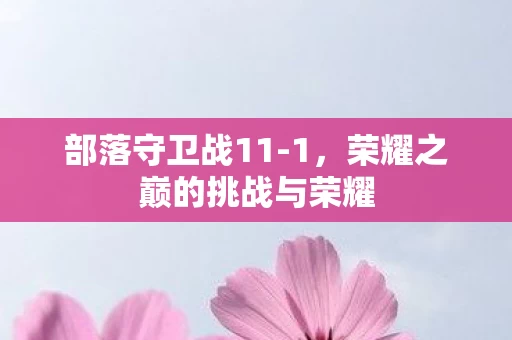 荣耀之巅的挑战与荣耀图片