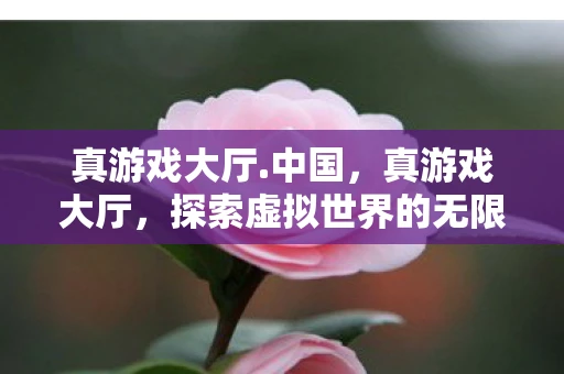 真游戏大厅.中国，真游戏大厅，探索虚拟世界的无限可能