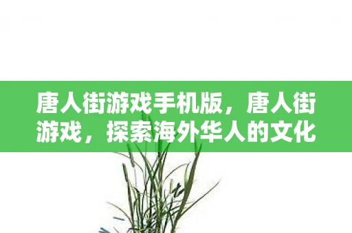 唐人街游戏手机版，唐人街游戏，探索海外华人的文化乐园