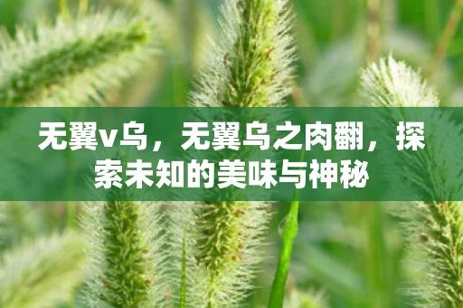 无翼v乌，无翼乌之肉翻，探索未知的美味与神秘