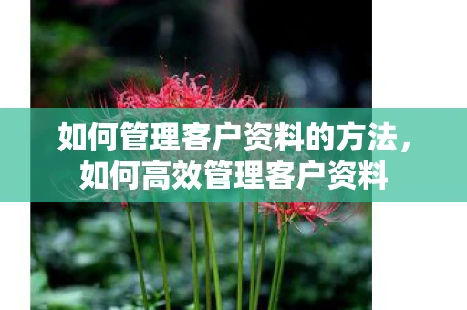 如何管理客户资料的方法，如何高效管理客户资料