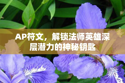 AP符文，解锁法师英雄深层潜力的神秘钥匙