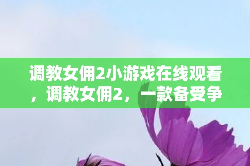 调教女佣2小游戏在线观看，调教女佣2，一款备受争议的游戏的解析与反思
