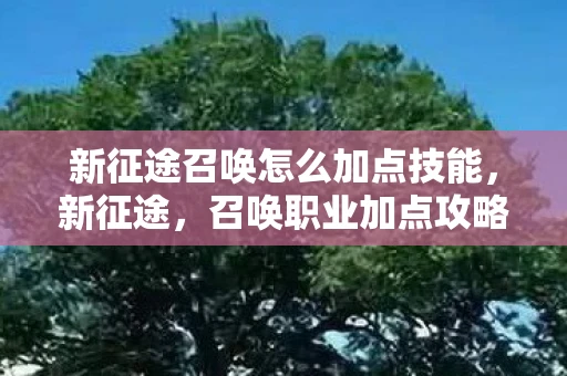 新征途召唤怎么加点技能，新征途，召唤职业加点攻略